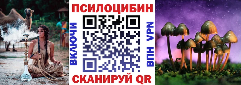 Псилоцибиновые грибы прущие грибы  как найти наркотики  Котовск 