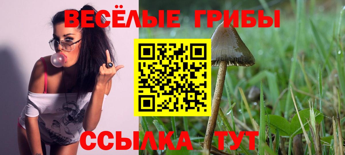 Котовск  Галлюциногенные грибы MAGIC MUSHROOMS  Галлюциногенные грибы мухоморы  Вход с VPN 
