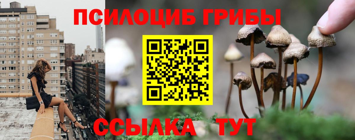 Галлюциногенные грибы Magic Shrooms Котовск