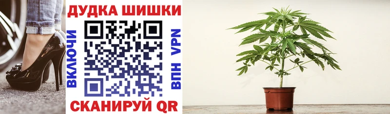 Конопля LSD WEED  купить наркоту  блэк спрут как зайти  Котовск 